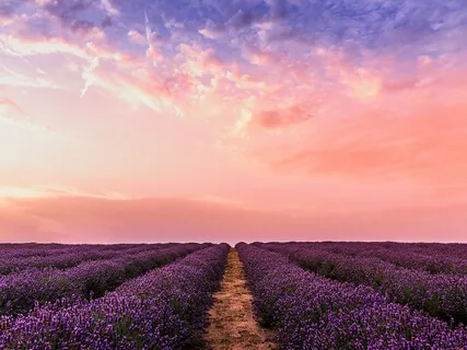 Abundance Meditation