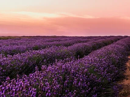 Abundance Meditation