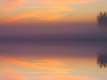 Attract Abundance & Shift Your Energy