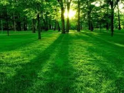 Abundance Meditation