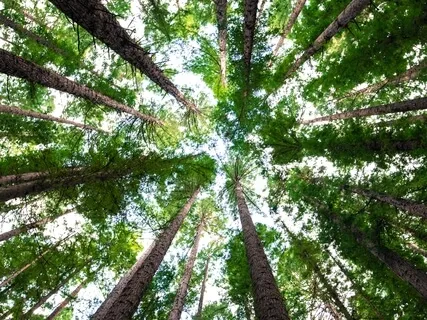 Abundance Meditation