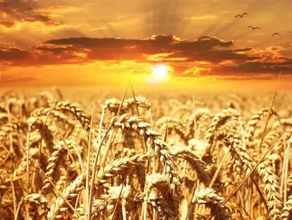 Abundance Meditation  With The Solfeggio Frequency 333