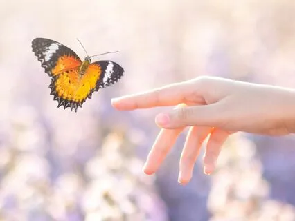 Abundance Meditation