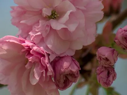 Abundance Meditation