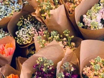 Abundance Meditation