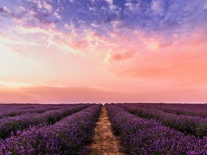 Abundance Meditation