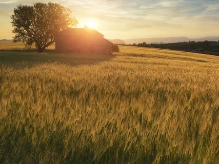 Abundance Mentality PowerNap 