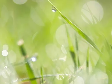 Abundance Mindset Practice