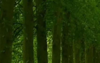 Abundance - Money - Let Go Of Lack & Scarcity Meditation