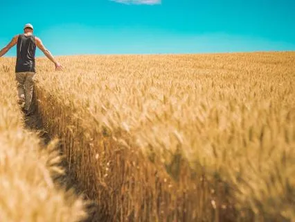 Abundance Music: 528 Solfeggio 25 Hz Binaural Beat