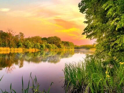 Abundance Of Calm: Anxiety Relief