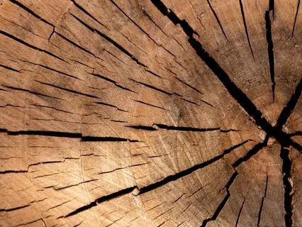 Abundance Of Gratitude: Shift Your Mindset Today