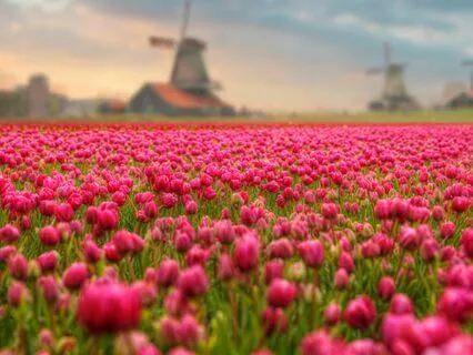 Abundance Prayer (Spoken And Subliminal)