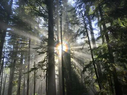 Abundance Prayer - Expand Gratitude