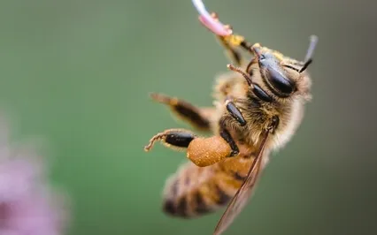 Abundance Reiki Activation And Affirmation