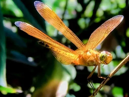 Abundance | Relaxation | Sleep | Meditation | Piano 432 Hz