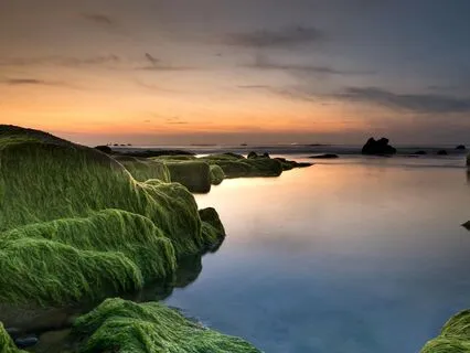 Abundance, Serenity And Manifestation Sleep Music