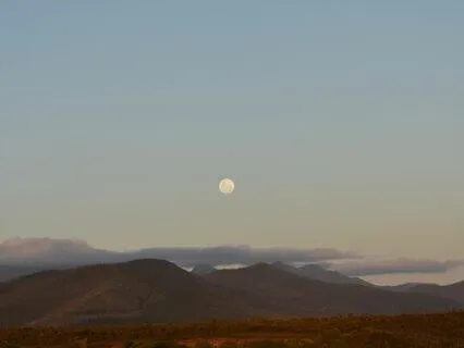 Abundance Series - 8 - Trust