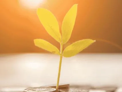 Abundance Subliminal: Financial Good News & Income Flow