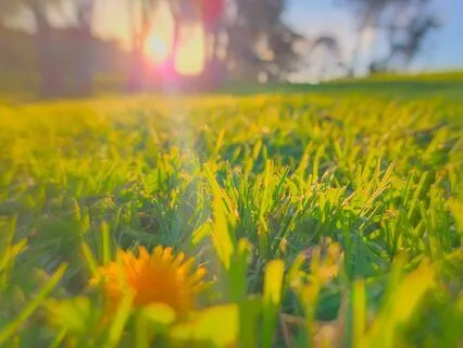 Abundance Through The Gratitude Meditation