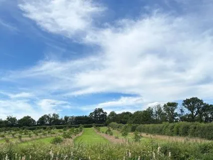 Abundance Through Trust: Letting Go Of How | Voice