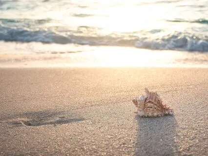 Abundance Through Trust: Surrendering To The Flow