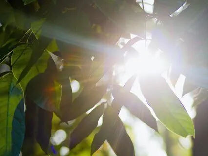 Abundant Affirmations For Daily Positivity