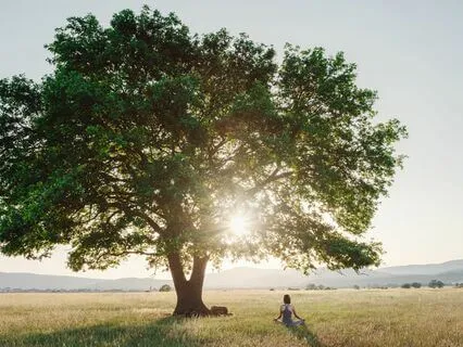 Abundant Calm: Music For Total Relaxation