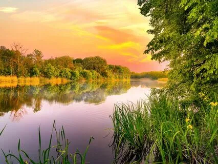 Abundant Calm: Prosperity Through Peace