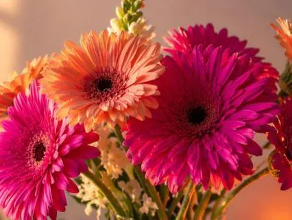 Abundant Entrepreneur