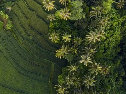 Abundant Health For Our World - Innermissions