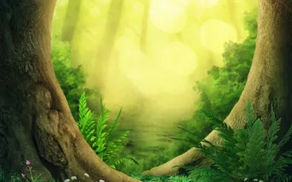 Abundant Life Visualization