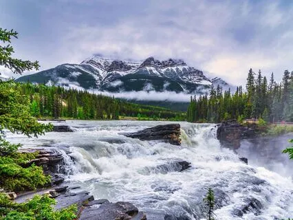 Abundant Nature – Subliminal Manifestation Soundscape