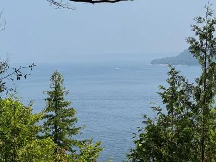 Abundant Opportunity Meditation