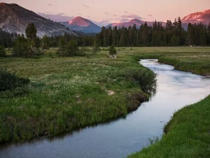 Abundant Peace: Relax And Let Go