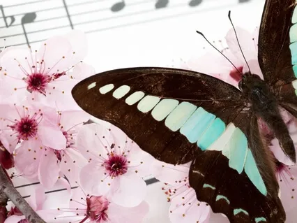 Acapella Affirmations