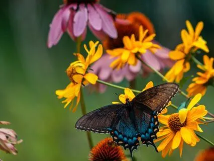 Accelerate Hair Growth With Serene Meditation