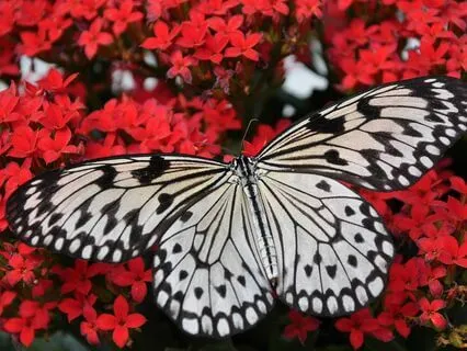 Accelerate Personal Evolution With Josephine Sorciere