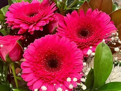 Accept Everything & Reject Nothing