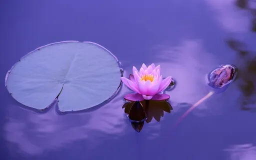 Accept The Change (Piano And Orchestra)