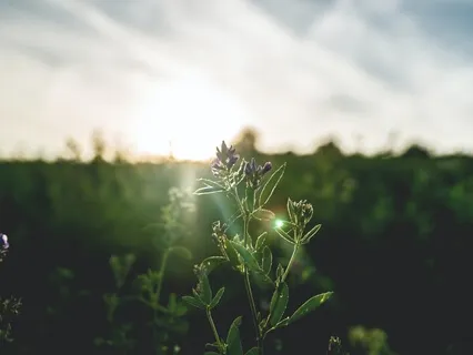 Accept This Moment & Be Free (Morning Practice)