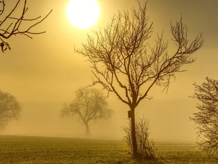 Acceptance For Inner Peace