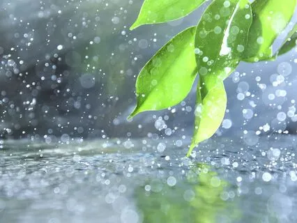 Acceptance Affirmations For Processing Difficult Emotions