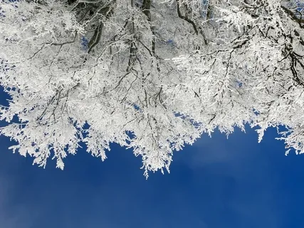 Acceptance And Change