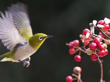 Acceptance And Creation: Declaring A New Reality