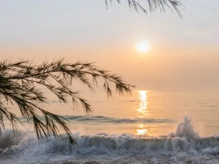 Acceptance And Inner Peace I 10-Minute Guided Meditation