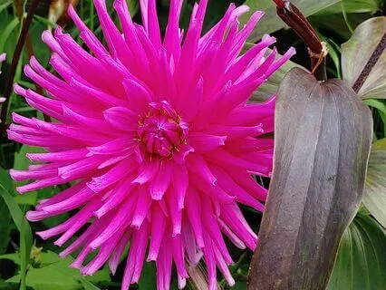 Acceptance And Self Expression: Realize Your Fullness