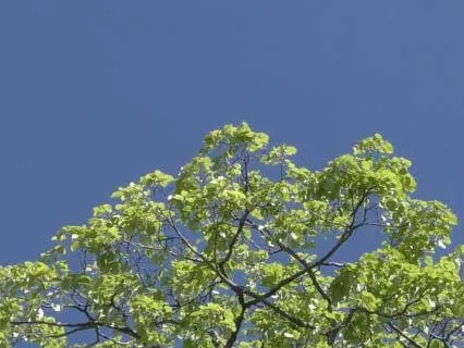 Acceptance Begins In The Present Moment - 20 Minute Practice