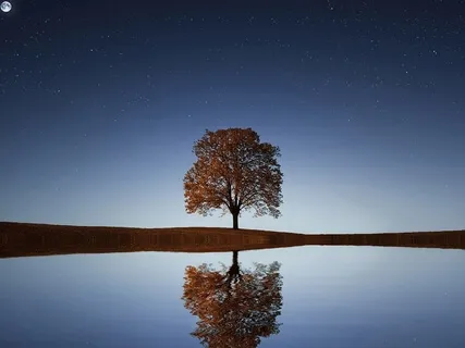 Acceptance Guided Meditation