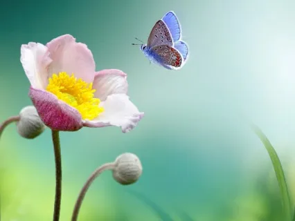 Acceptance: It Is What It Is